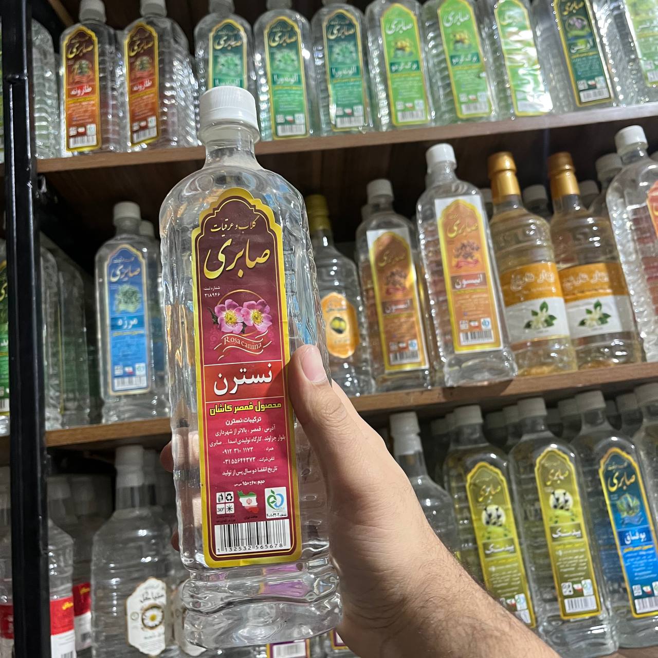 عرق نسترن صابری