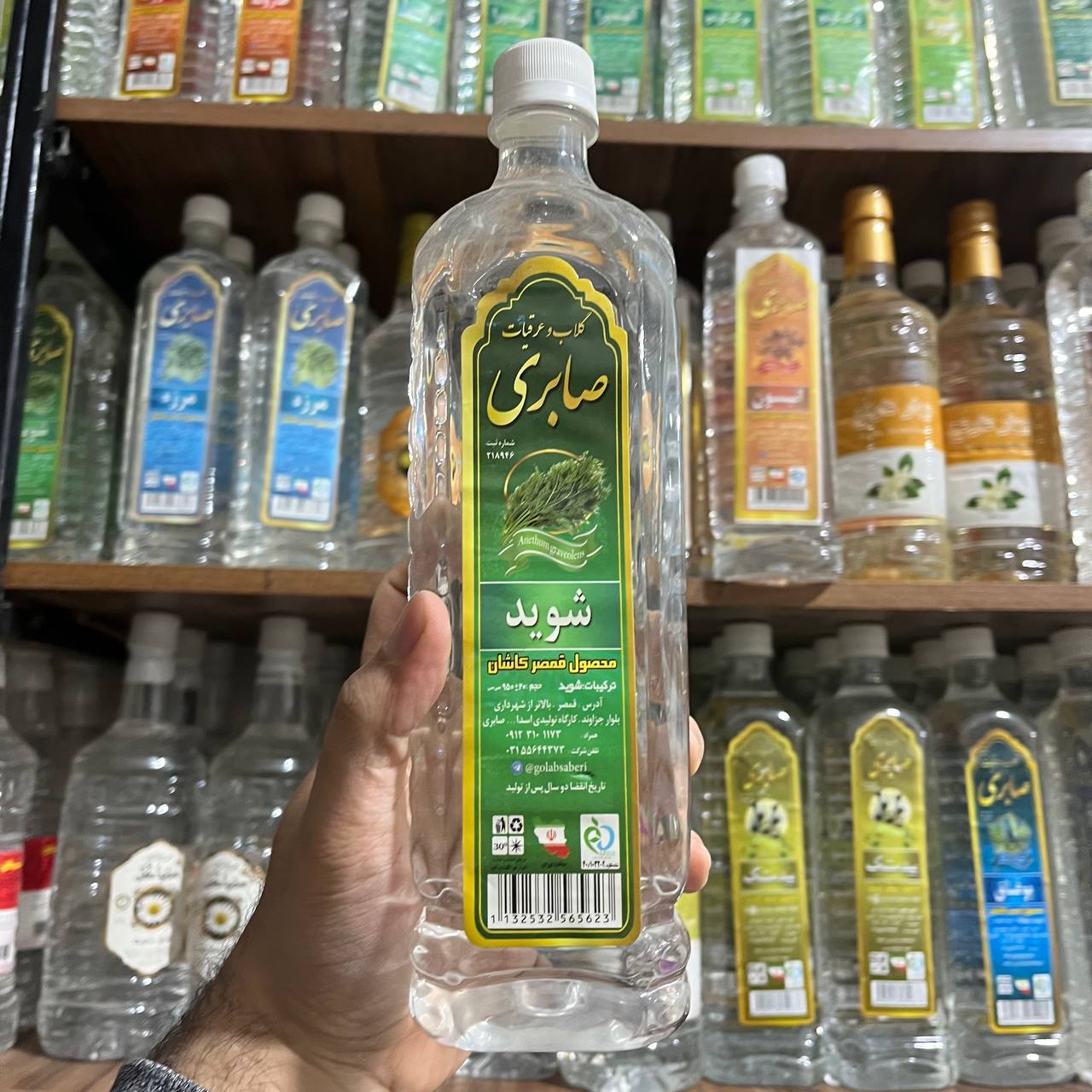 عرق شوید صابری